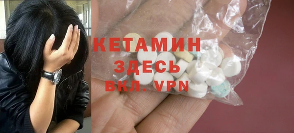 сатива Кулебаки