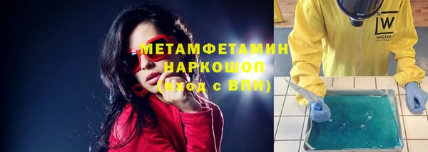 сатива Кулебаки