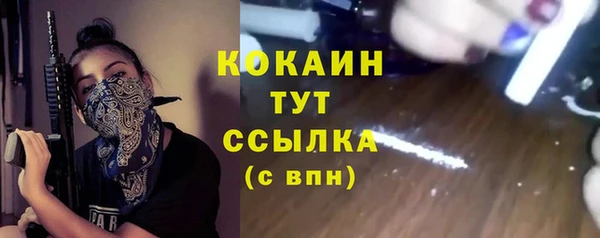 сатива Кулебаки