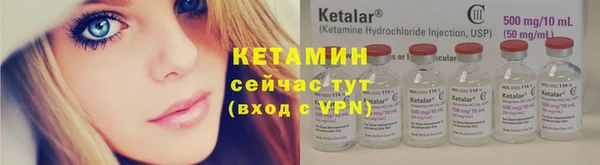 сатива Кулебаки