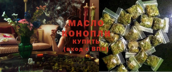 сатива Кулебаки