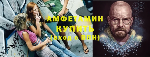 сатива Кулебаки