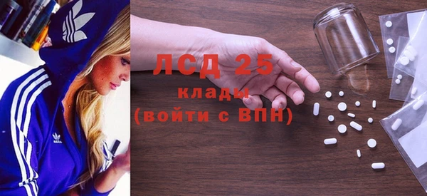 сатива Кулебаки