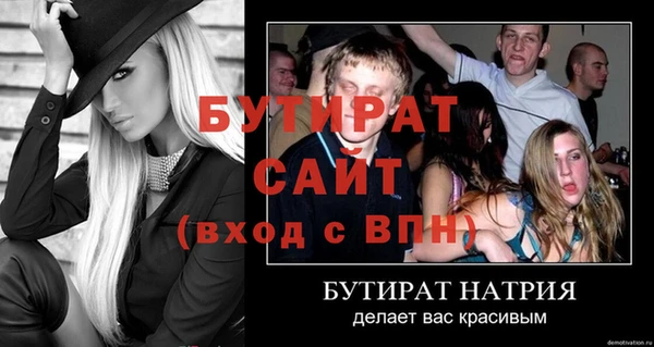 сатива Кулебаки