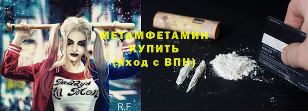 сатива Кулебаки