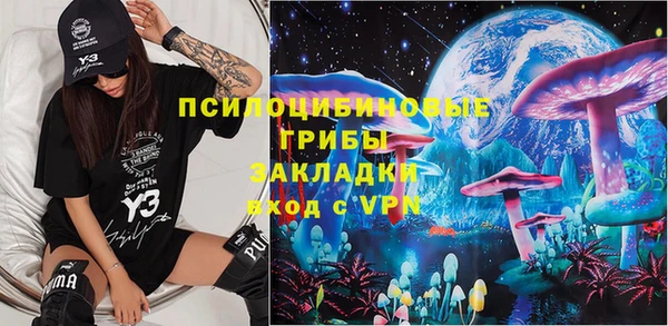 сатива Кулебаки